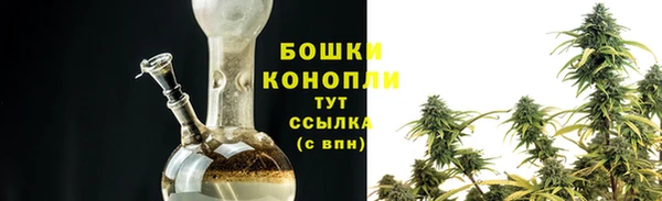 прущие грибы Балахна