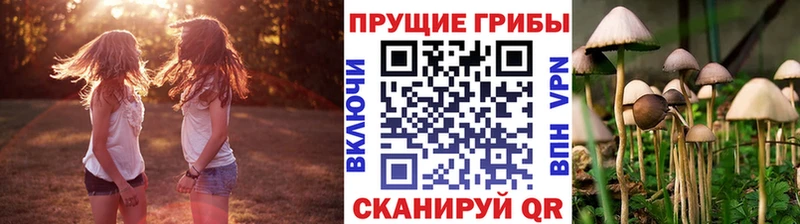 Галлюциногенные грибы ЛСД  Благодарный 